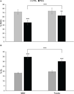 Transcriptomic analysis reveals the gene regulatory networks involved in leaf and root response to osmotic stress in tomato